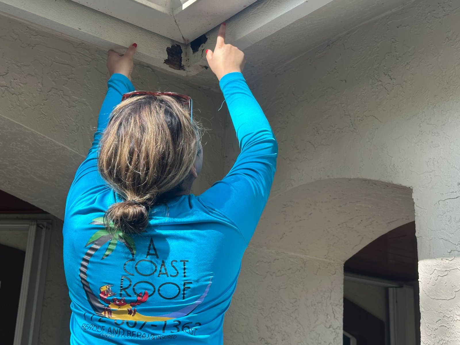 Soffit and Fascia Inspection